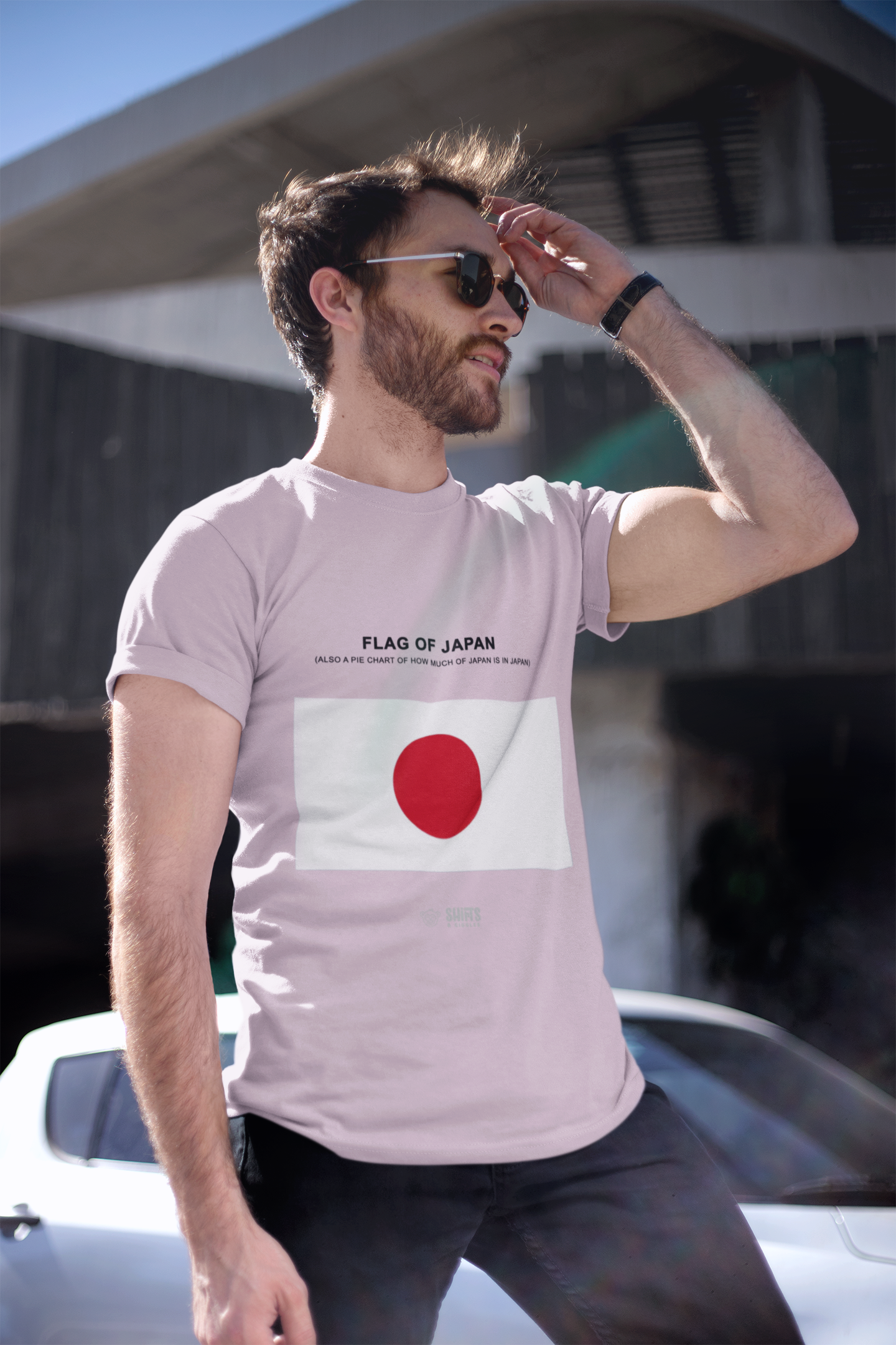 japanese flag - pie chart t-shirt