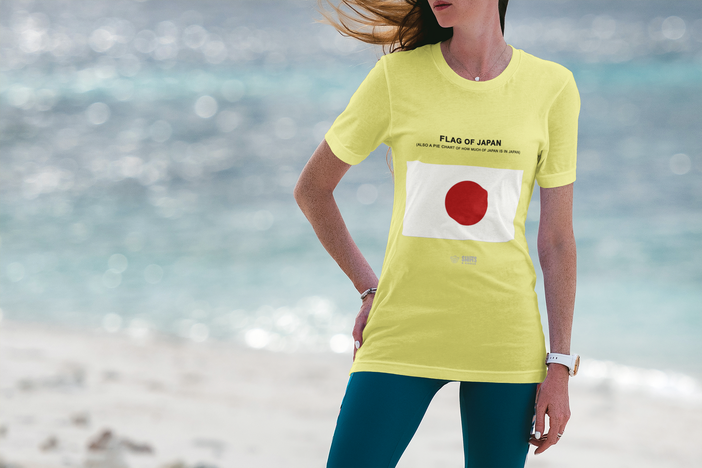 japanese flag - pie chart t-shirt