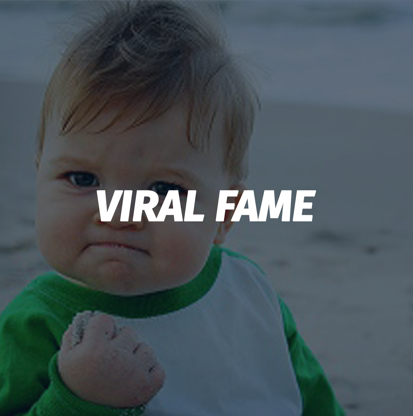 Viral Fame / Memes